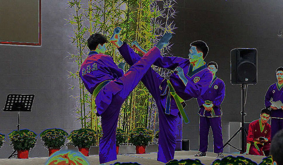 Từ Đường Chạy Đến Võ Đài: Khi Nhà Báo Olympic Giải Mã Nhịp Điệu Của Sự Hỗn Loạn Có Tổ Chức