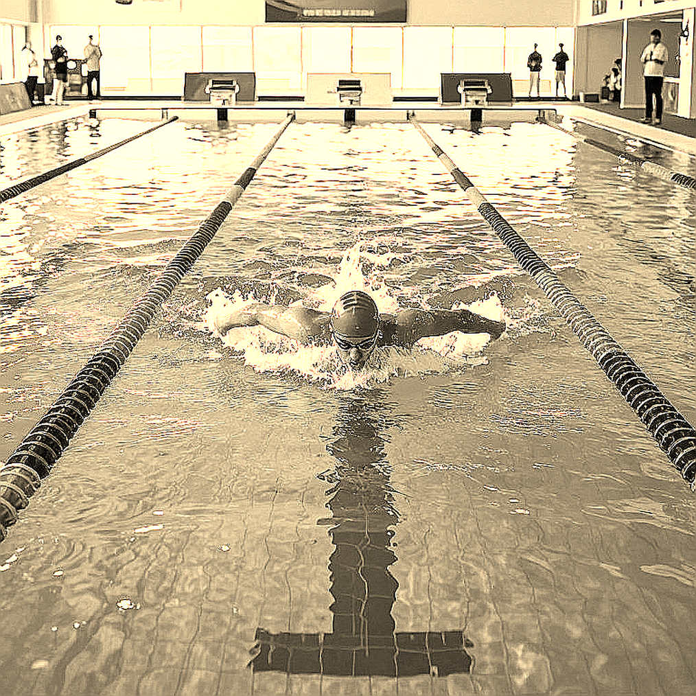 World Aquatics số hóa chấm điểm bơi nghệ thuật: 160 trọng tài, một chiếc máy tính bảng và bài toán niềm tin