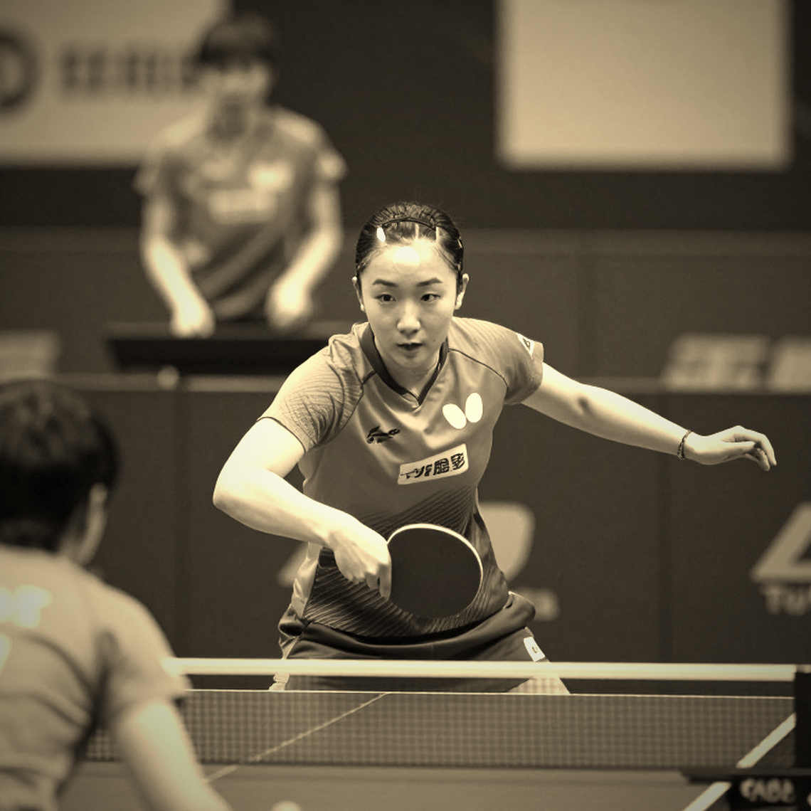 Anna Hursey and the Handshake with Shi Xunyao: A Talent Development Strategy or Just a Fleeting Opportunity?
