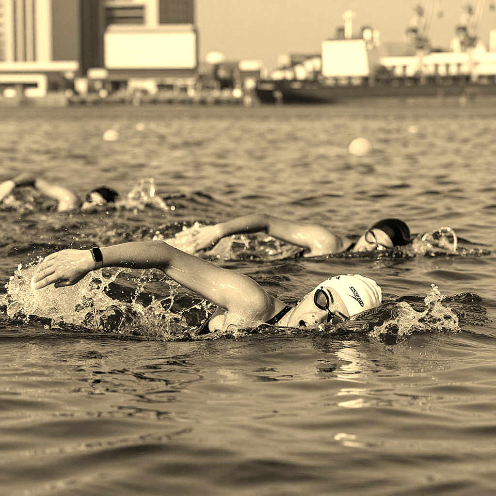 Ridgefield Aquatic Club Mở Tuyển Chứng Nhận Huấn Luyện Viên Trợ Lý Toàn Thời Gian Với Lương Cao Và Lợi Ích Đầy Đủ Ridgefield Aquatic Club Mở Tuyển Chứng Nhận Huấn Luyện Viên Trợ Lý Toàn Thời Gian Với Lương Cao Và Lợi Ích Đầy Đủ